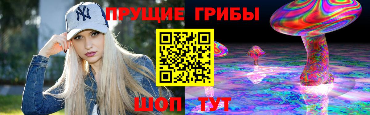 Галлюциногенные грибы Psilocybine cubensis Кропоткин