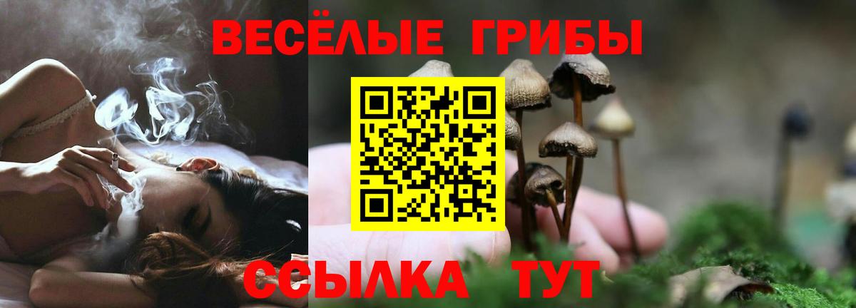 Кропоткин  где можно купить   Псилоцибиновые грибы прущие грибы  Вход с VPN  Псилоцибиновые грибы Cubensis 